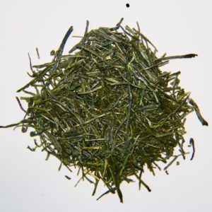Grand cru de thé vert récolté lors de la première récolte