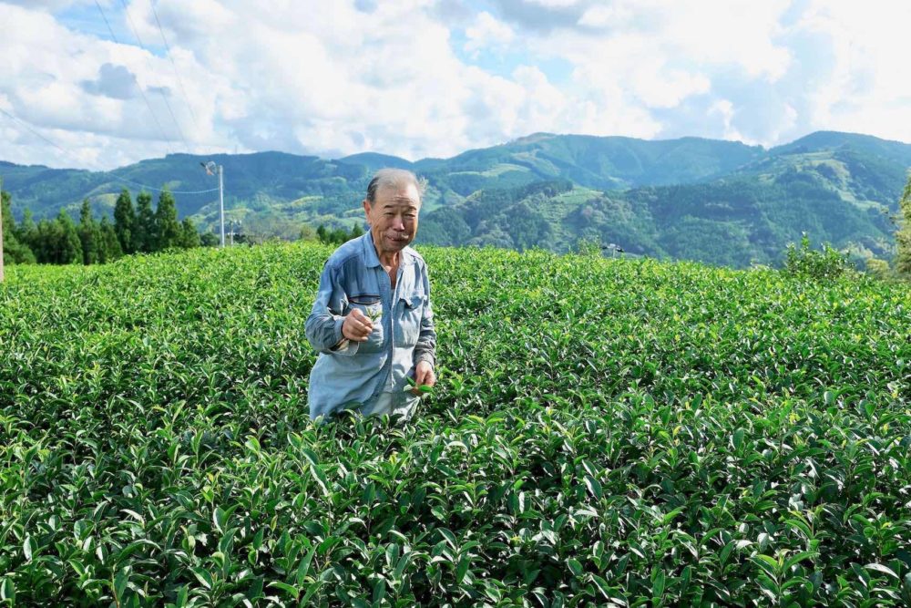 Maître de thé à Shizuoka au japon