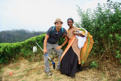 Culture du thé au Sri-lanka Récolte de thé par des producteurs issus du commerce équitable