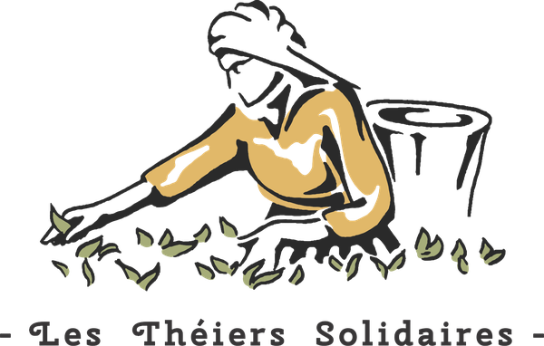 Logo les Théiers Solidaires Les Théiers Solidaires - thés équitables et solidaires